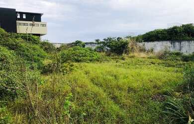 Imagem 3: RARIDADE EM ITAÚNA