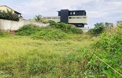 Imagem 1: RARIDADE EM ITAÚNA