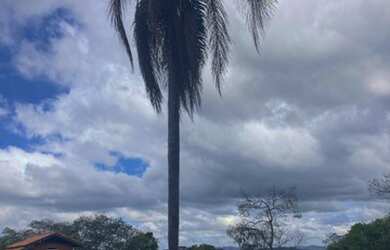 Imagem: O terreno está localizado em Centro, Mairiporã à venda por