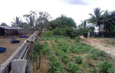 Imagem 11: Fazenda à venda, 3339600 m² por R$ 3.450.000 - Araguaína/TO