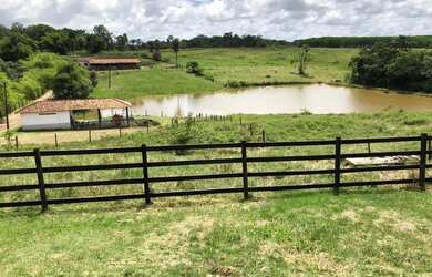Imagem 15: Fazenda para venda em Santa Izabel na beira da pista