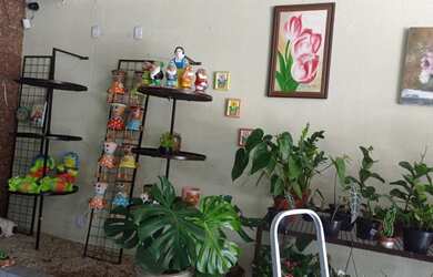 Imagem 8: loja comercial floricultura para aluguel e venda tem 4000 metros quadrados