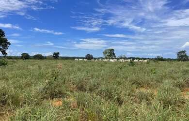 Imagem 8: Fazenda em guaianesia g.o 300 alqueirão 70.000.000.00 lean