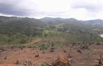 Imagem 9: Excelente terreno 100 plano