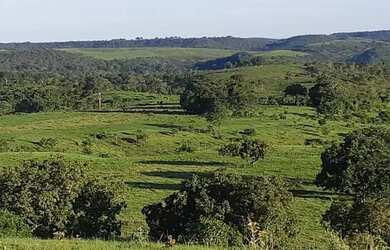 Imagem 9: . Uma Fazenda 110 alqueires 67 km de Porto Nacional