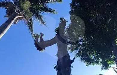 Imagem 8: Condomínio com 5 quartos à venda em Praia Do Morro - ES