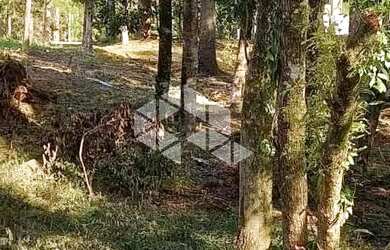 Imagem 7: Excelente terreno amplo com boa frente