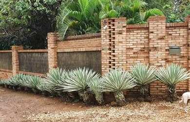 Imagem 13: Chácara em Luzimangues. Piscina, Churrasqueira, Vista para o lagoe4.000m²...