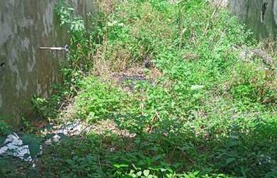 Imagem 3: Vendo terreno em Afogados