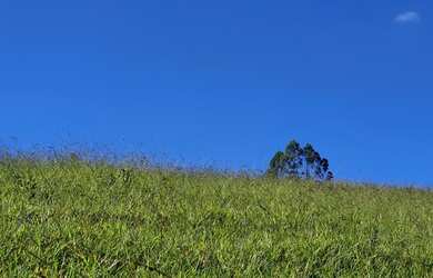 Imagem 4: Morar ou Investir em Tiradentes. Lotes por 16.995 Parcelas