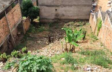 Imagem 7: 14101 275m² COLINA DE ITAPUÃ