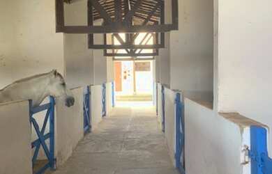 Imagem 16: Lotes na Fazenda Real Macaiba