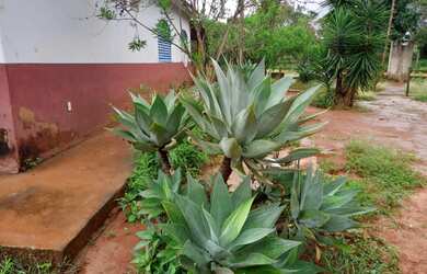 Imagem 1: ESTRUTURA NUMA AREA 2 HECTARES//ESCRITURADO//ACEITA LOTE REGIÃO SUL