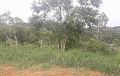 Imagem 7: Excelente terreno 100 plano