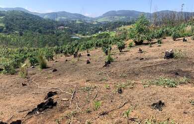 Imagem 15: Terreno com ótimo solo. 600m² de Área