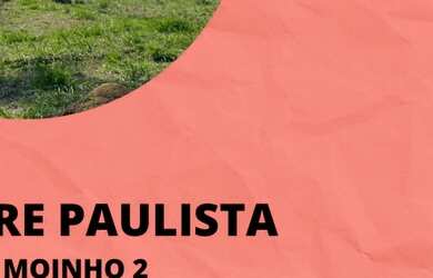 Imagem: O terreno possui 1.000m² de Área e está localizado em Centro