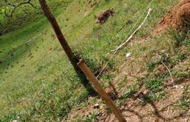 Imagem 15: Terrenos dos seus sonhos com preços que vc sempre quis, corre agende sua visita