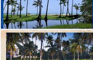 Imagem 3: Apartamento STUDIO venda com 26 m² - 1 quarto em Praia dos Carneiros...