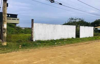 Imagem 5: RARIDADE EM ITAÚNA