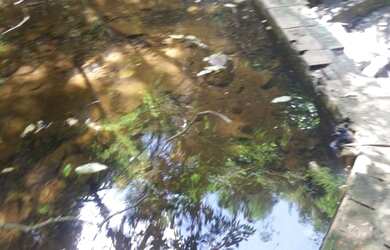 Imagem 5: Fazenda/Sítio/Chácara para venda possui 38000 metros quadrados em PORTO...