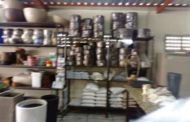 Imagem 6: loja comercial floricultura para aluguel e venda tem 4000 metros quadrados