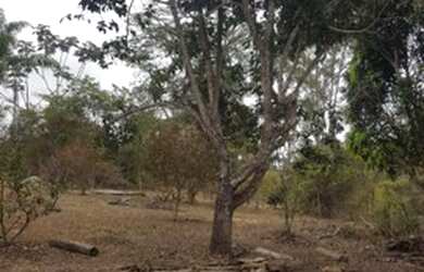 Imagem: A fazenda possui 43000m² de Área e está localizado em São