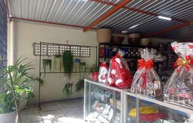 Imagem 11: loja comercial floricultura para aluguel e venda tem 4000 metros quadrados