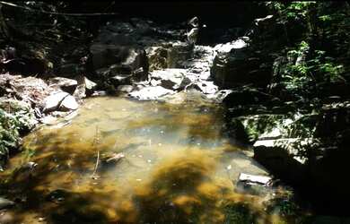Imagem 3: Fazenda/Sítio/Chácara para venda possui 38000 metros quadrados em PORTO...