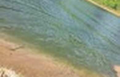 Imagem 2: Terreno invista na sua familia