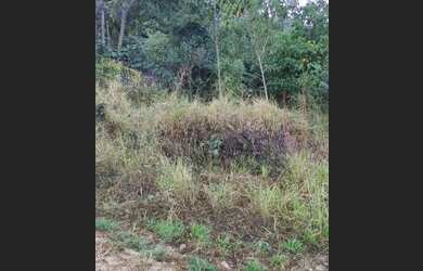 Imagem 6: Terreno Lote para Venda em ENGENHO Santa Luzia-MG - 1533