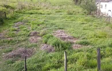 Imagem 8: Terreno BR 356 Rio X Muriaé