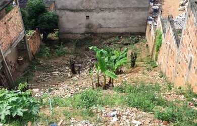 Imagem 5: 14101 275m² COLINA DE ITAPUÃ