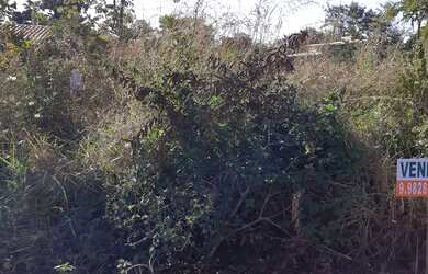 Imagem: O terreno possui 300m² de Área, Imóvel novo e está localizado