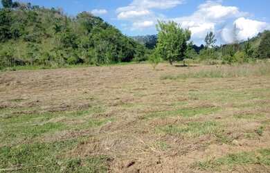 Imagem 5: Lote/Terreno para venda possui 600 metros quadrados em Jardim Paineiras...