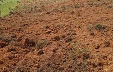 Imagem 14: Terrenos dos seus sonhos com preços que vc sempre quis, corre agende sua visita