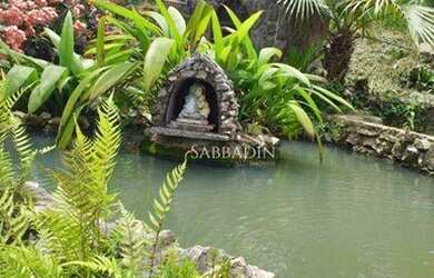 Imagem 8: Sítio à venda, 170000 m² por R$ 900.000 - Sapucaia - Sapucaia/RJ