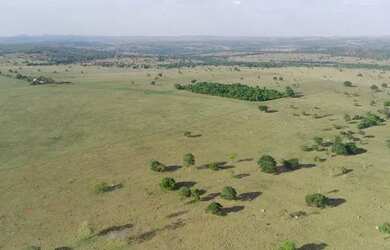 Imagem: A fazenda está localizado em Iporá, GO à venda por