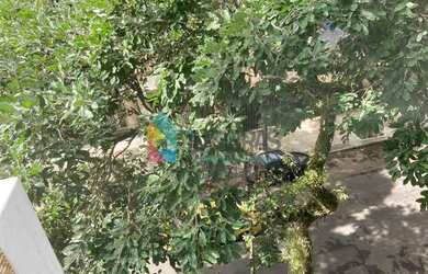 Imagem: O apartamento possui 4 Dormitórios, 4 Banheiros, 1 Vaga na