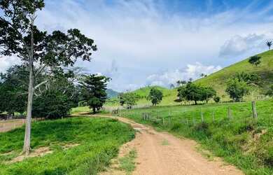 Imagem: A fazenda possui 110m² de Área, Área de serviço e está