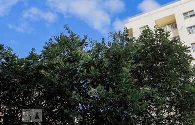 Imagem 9: Apartamento para Aluguel - Copacabana, 1 Quarto, 40 m2