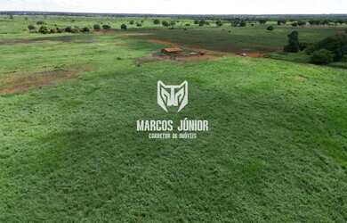 Imagem: A fazenda possui 1m² de Área e está localizado em Área Rural