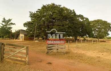 Imagem 16: Fazenda 68 alqueires 329 hectares Campos Verdes-GO