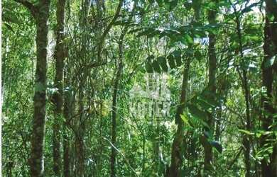 Imagem 8: Fazenda em Santa Maria Madalena 7.421 Hectares no Bioma Mata Atlântica...