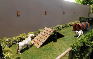 Imagem 10: VIVAR ATLÂNTICO- 2 E 1 QUARTO- OLINDA