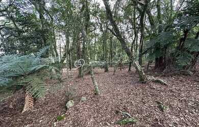 Imagem 5: TERRENO NO CONDOMINIO LAGOS DE GRAMADO
