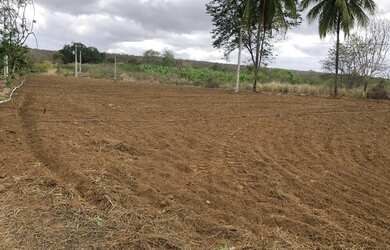 Imagem 5: FAZENDA A VENDA. 