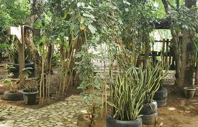 Imagem 12: Chácara em Luzimangues. Piscina, Churrasqueira, Vista para o lagoe4.000m²...