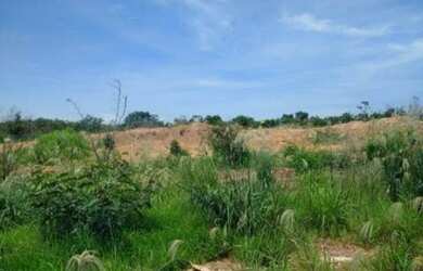 Imagem 3: Lote/Terreno para venda tem 105760 metros quadrados em Novo Mundo - Várzea...