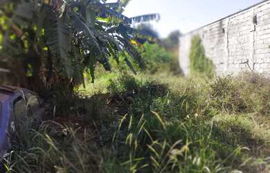 Imagem 11: Terreno Fazenda Abaete - Dumont