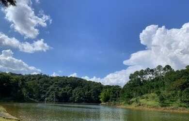 Imagem 5: Excelente terreno 100 plano